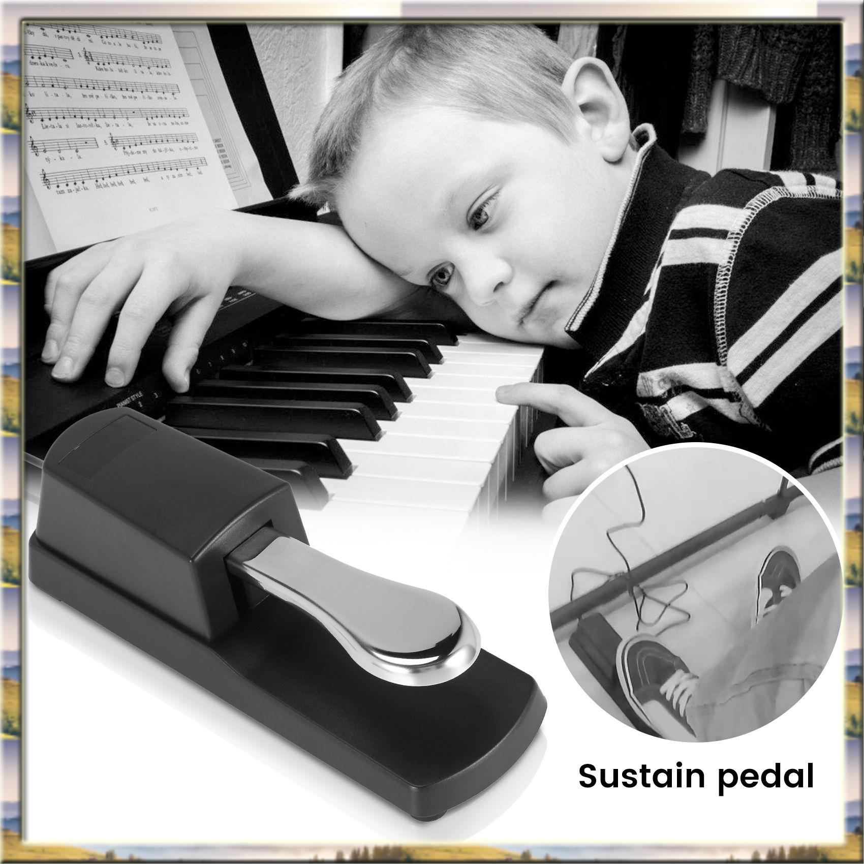 Y30A อัพเกรด Sustain Damper Pe - Piano Sustain Pedal บทวิจารณ์และราคา